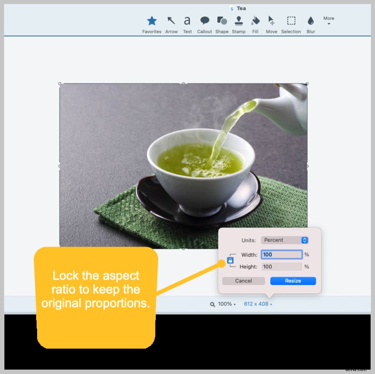 5 Expert Tips for Professional Screen Captures