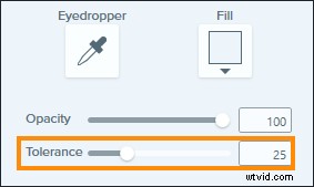 4 Effortless Ways to Keep Screenshots Always Up to Date