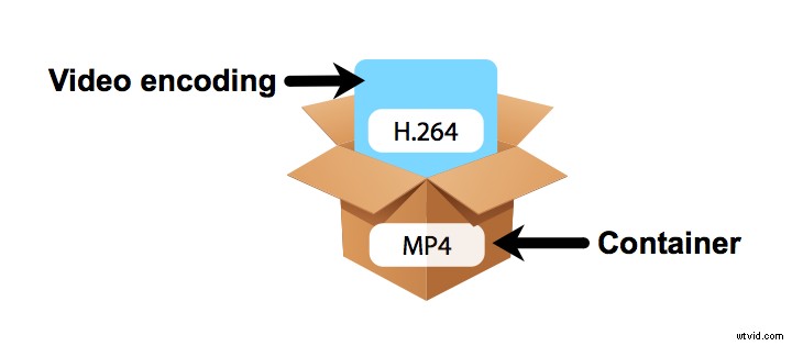 Master Video Editing: Simplify Video Encoding for Beginners
