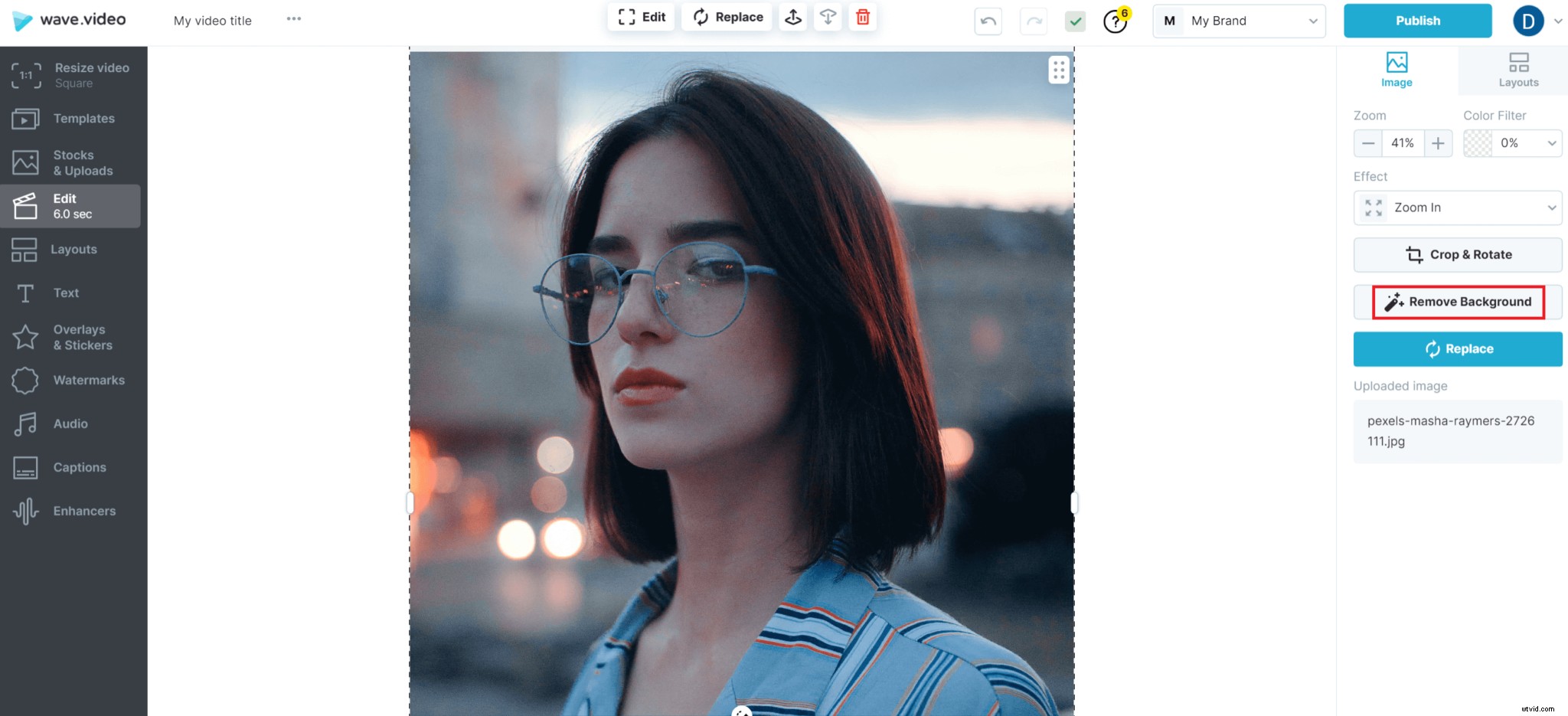 Remove Image Background in 5 Easy Steps: Beginner-Friendly Guide
