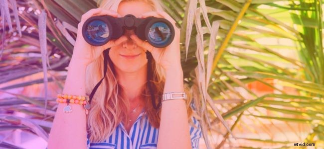 Create Stunning Videos Easily: How to Use Royalty-Free Stock Footage Like a Pro