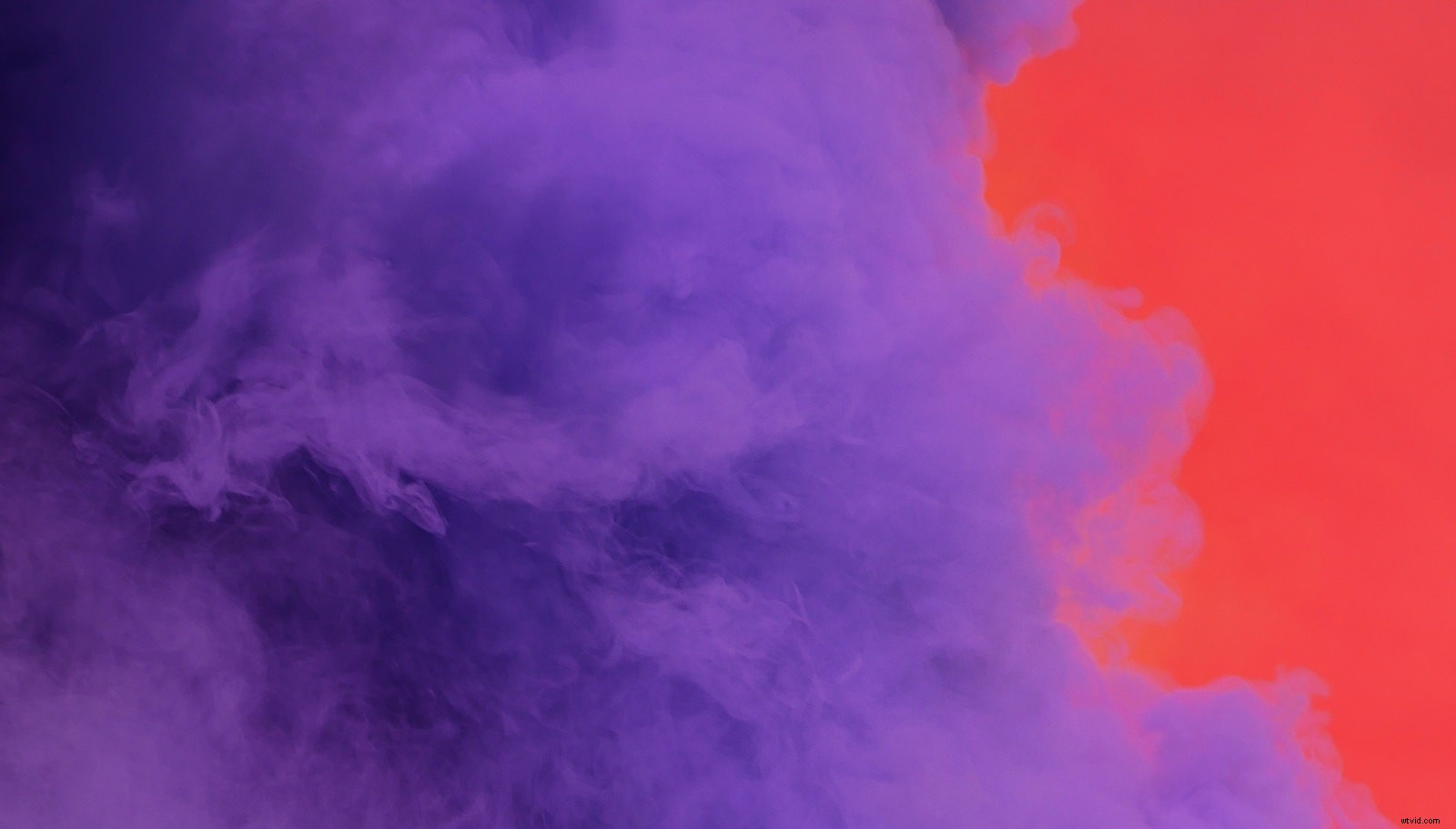 Master Video Editing: The Ultimate Beginner s Guide