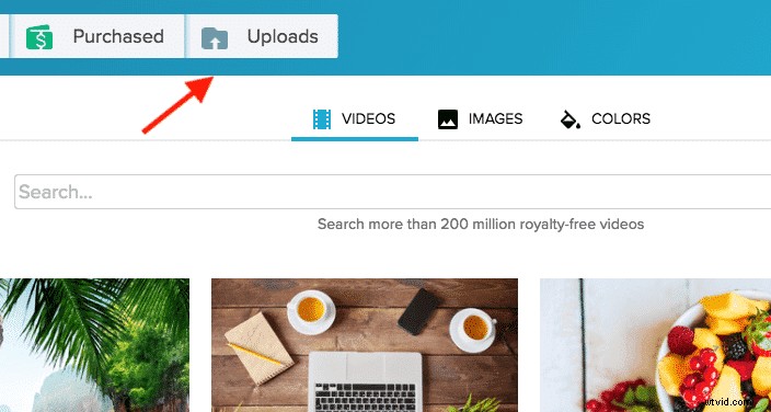 Master Video Editing: The Ultimate Beginner s Guide