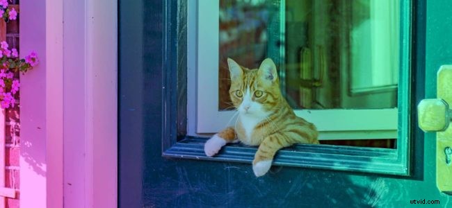 Craft Captivating Video Intros That Hook Viewers and Boost Engagement