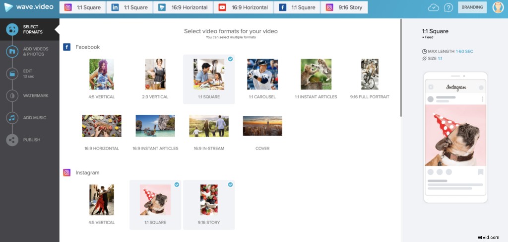 Create Stunning Slideshows with Music: Easy Step-by-Step Guide