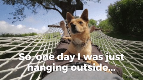 How to Create GIFs from Videos: Easy Step-by-Step Guide