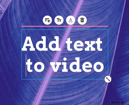 How to Create Your First Video: Step-by-Step Guide for Absolute Beginners