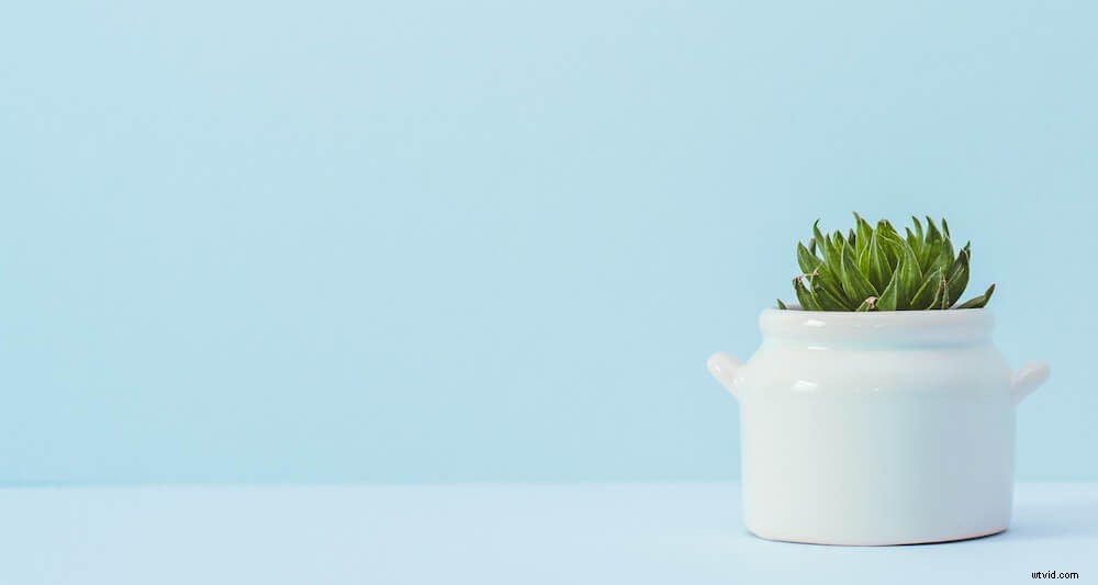 How to Choose the Best Video Editor: Expert Buyer s Guide