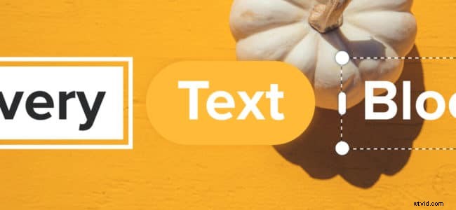 Wave.video Update: Stunning Animated Effects for Every Text Block