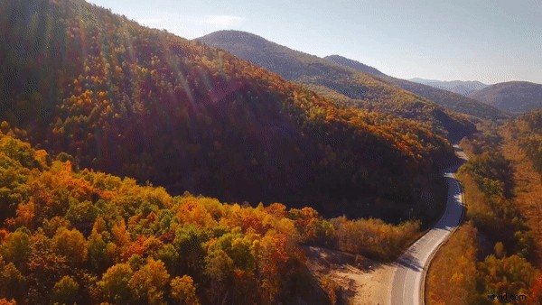 Top 9 Animated Text Effects to Elevate Your Video Production