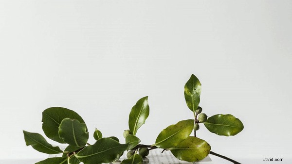 Top 9 Animated Text Effects to Elevate Your Video Production