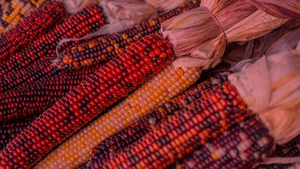 Top 9 Animated Text Effects to Elevate Your Video Production