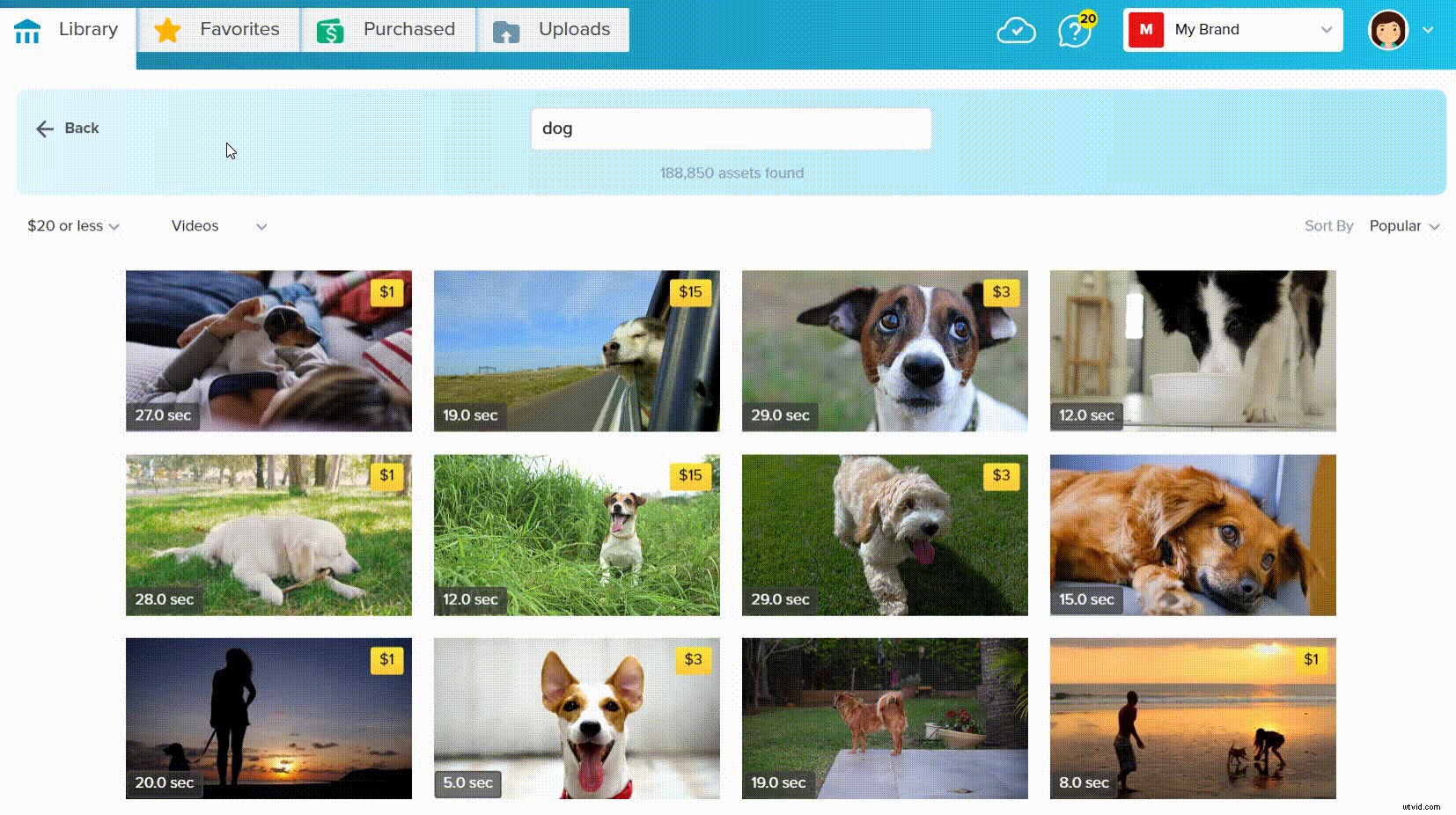Easy Guide: Add Cinematic Black Bars to Videos Without Adobe Premiere