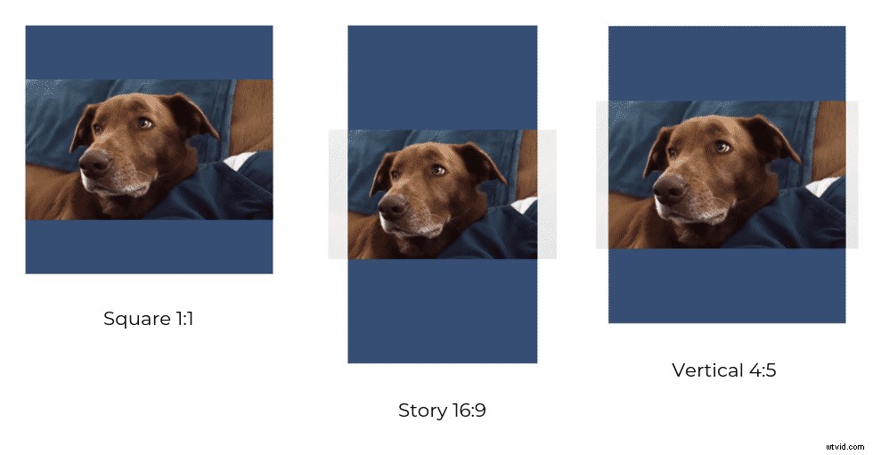 Easy Guide: Add Cinematic Black Bars to Videos Without Adobe Premiere