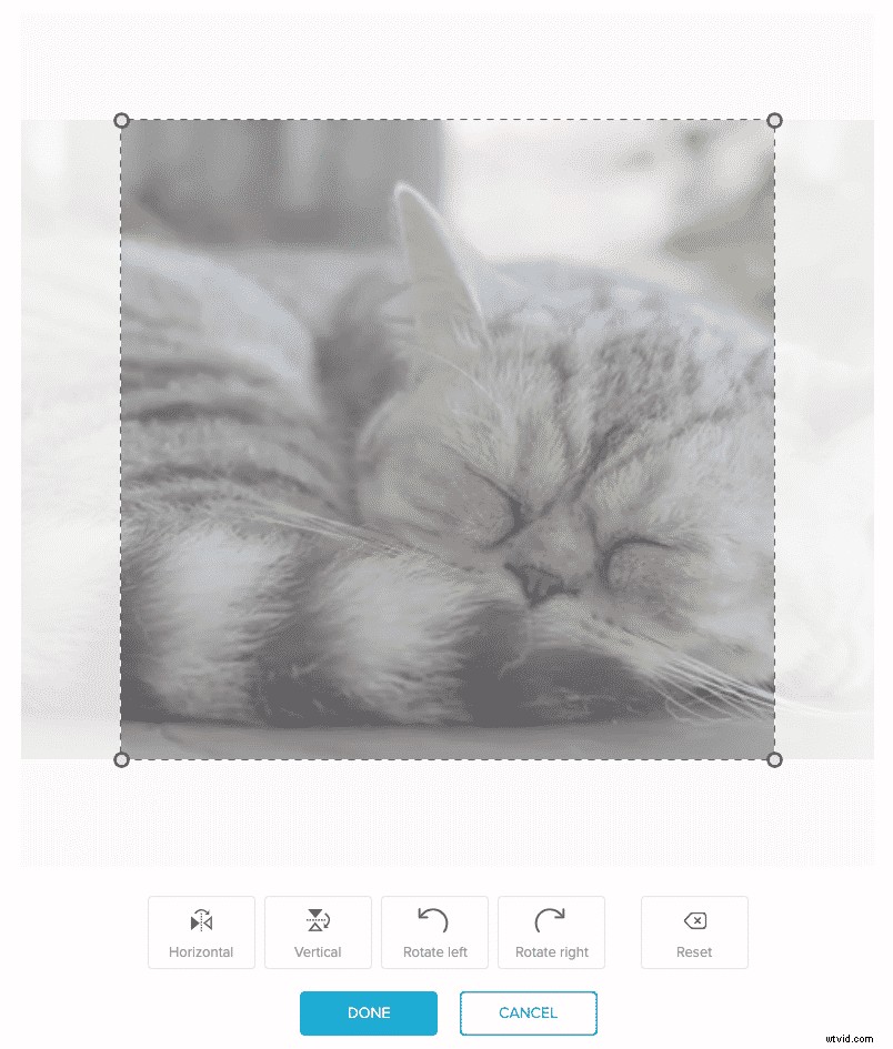 Easy Guide: Add Cinematic Black Bars to Videos Without Adobe Premiere