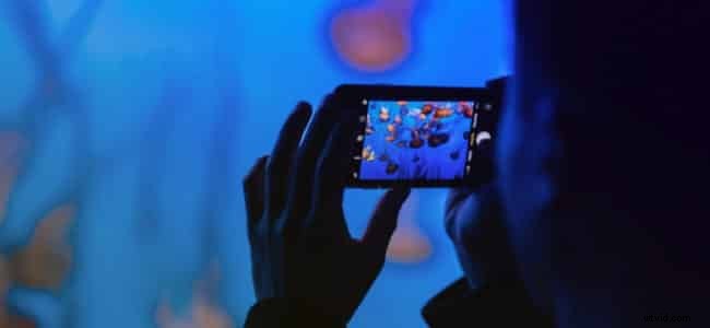 17 Stunning Video Effects to Elevate Your Next Video Project