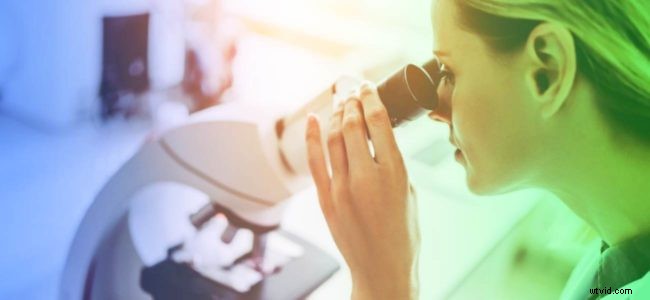 Craft Award-Winning Research Story Videos with Wave.video: Expert Step-by-Step Guide