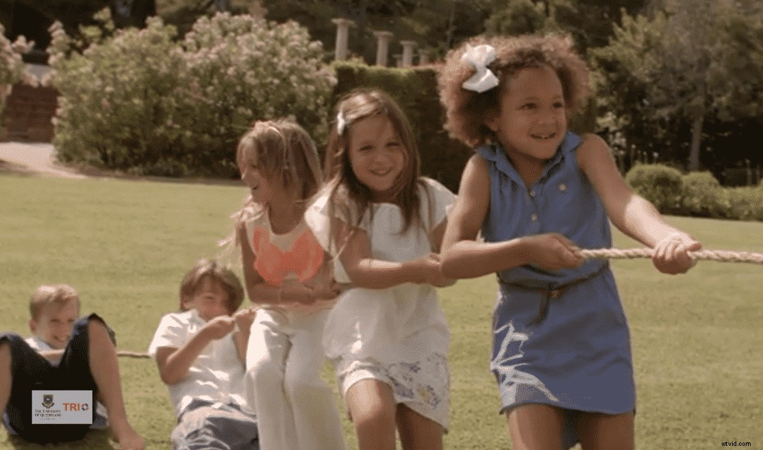 Craft Award-Winning Research Story Videos with Wave.video: Expert Step-by-Step Guide