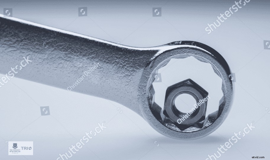 Craft Award-Winning Research Story Videos with Wave.video: Expert Step-by-Step Guide