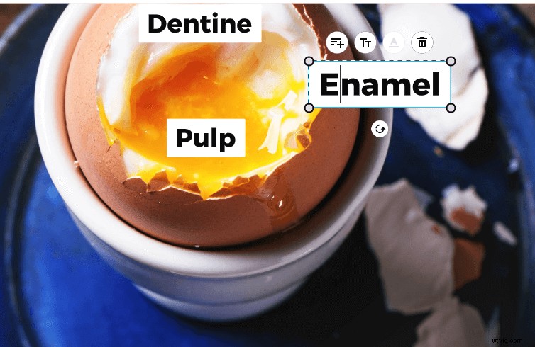 Craft Award-Winning Research Story Videos with Wave.video: Expert Step-by-Step Guide
