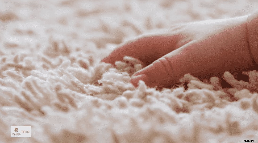 Craft Award-Winning Research Story Videos with Wave.video: Expert Step-by-Step Guide