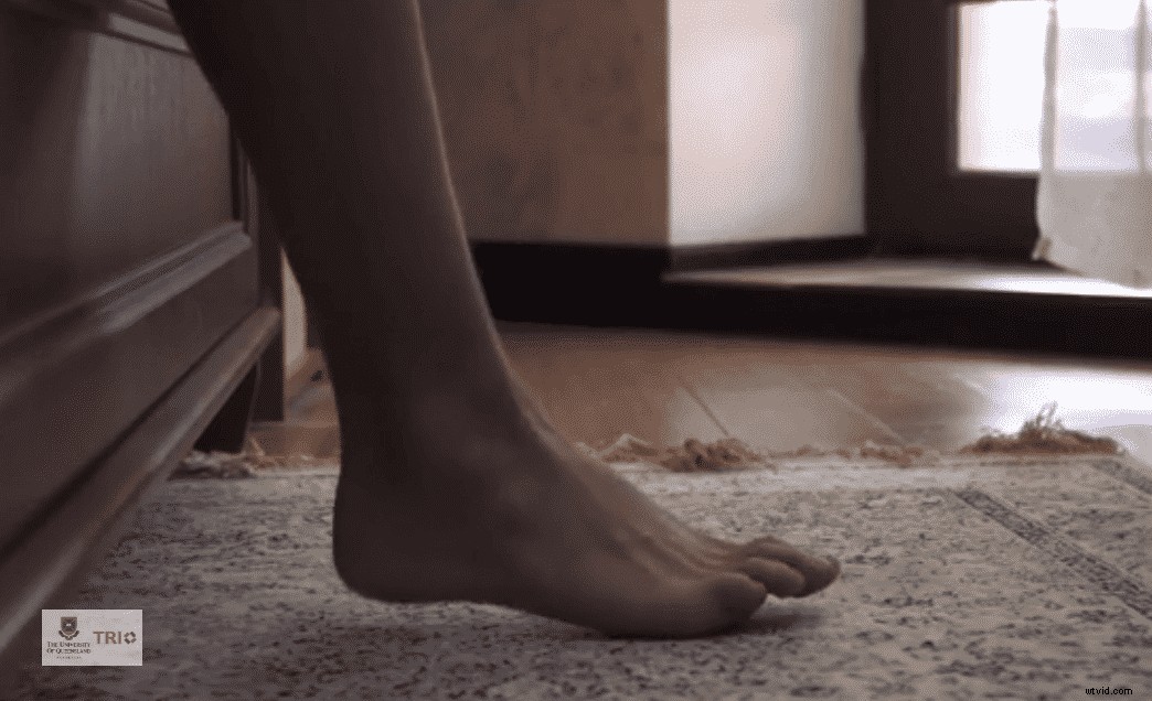 Craft Award-Winning Research Story Videos with Wave.video: Expert Step-by-Step Guide