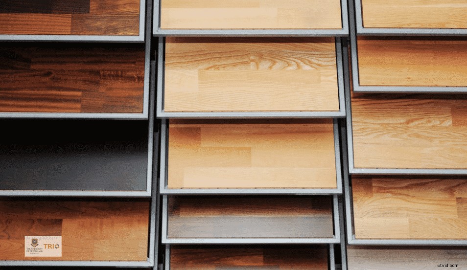 Craft Award-Winning Research Story Videos with Wave.video: Expert Step-by-Step Guide