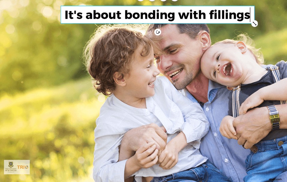 Craft Award-Winning Research Story Videos with Wave.video: Expert Step-by-Step Guide