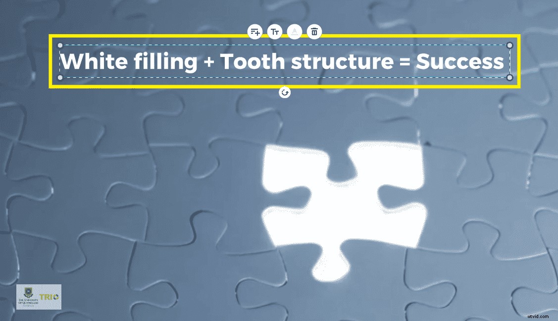 Craft Award-Winning Research Story Videos with Wave.video: Expert Step-by-Step Guide