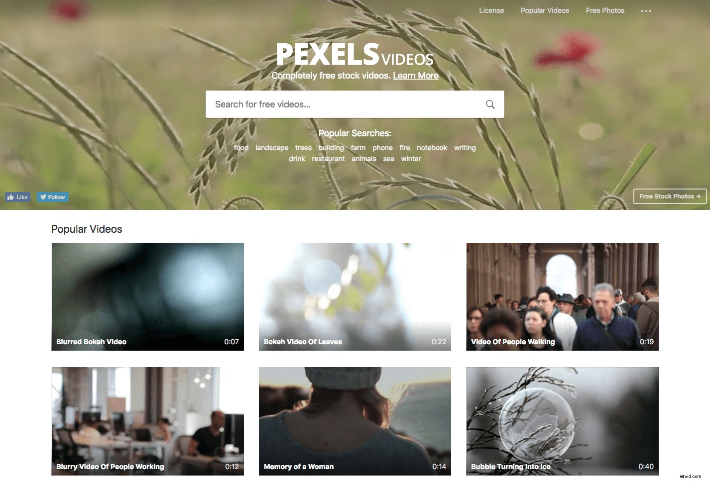 29 Best Free Stock Footage Sites to Elevate Your Video Projects