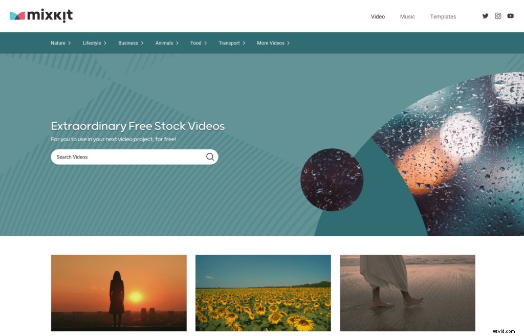 29 Best Free Stock Footage Sites to Elevate Your Video Projects