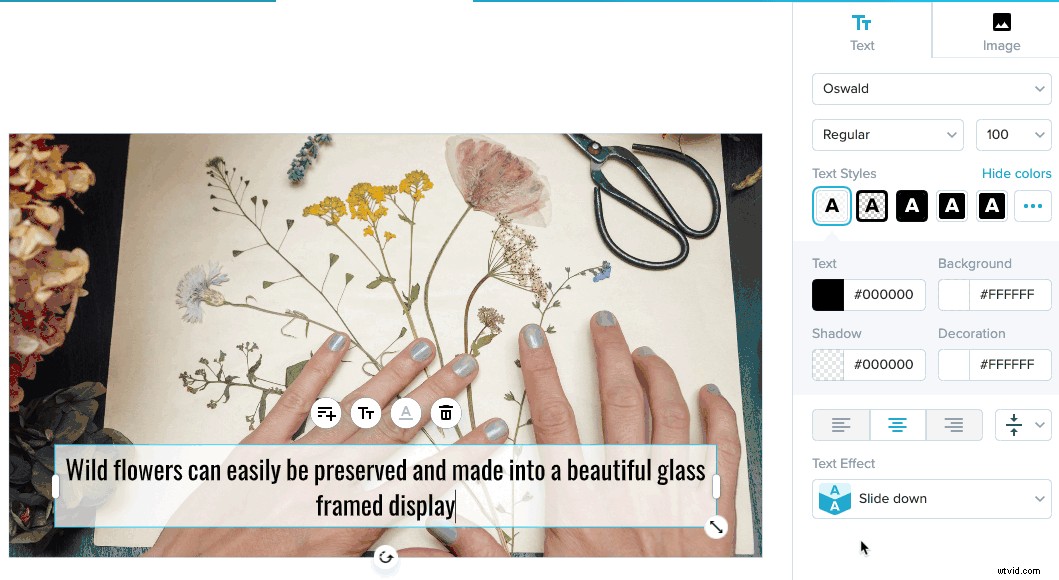 How to Add Transparent Overlays: Elevate Your Video Branding Effortlessly