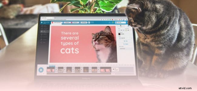 Proven Tips & Hacks: Create Stunning Professional Videos Without Design Skills