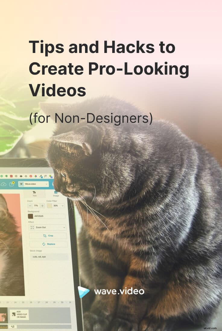 Proven Tips & Hacks: Create Stunning Professional Videos Without Design Skills
