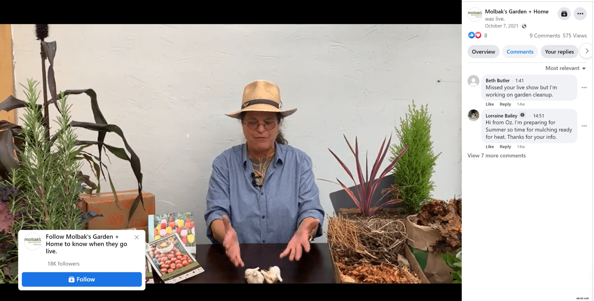 Stream Like a Pro: Ultimate Guide to Mastering Live Streaming Success