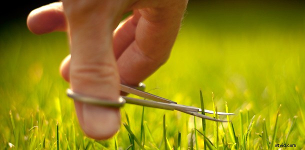 6 Proven Tips for Crafting an Engaging Explainer Video Script