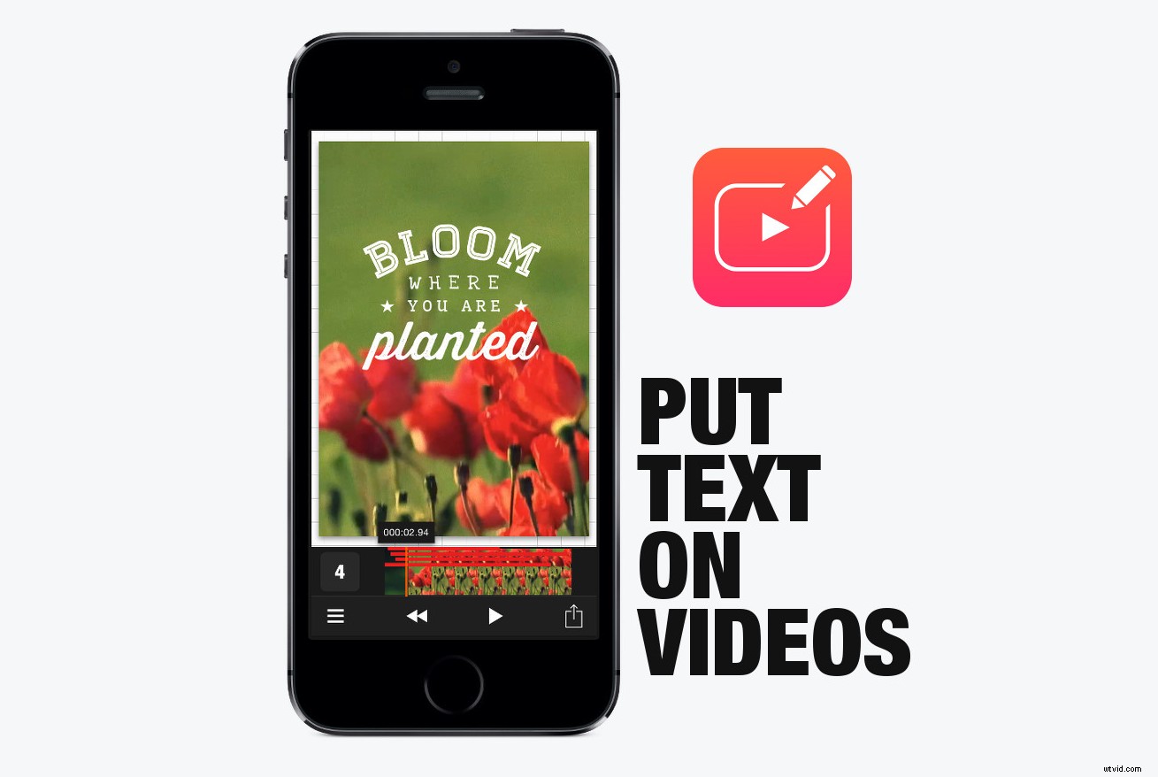 Top 4 Easiest Video Editing Apps for Beginners and Pros