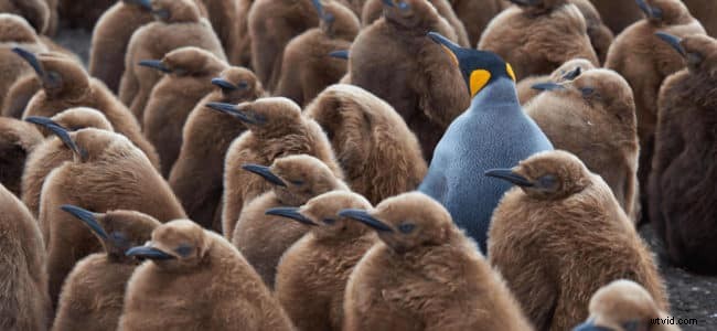 5 Proven Ways to Transform Free Stock Videos into Unique Visuals