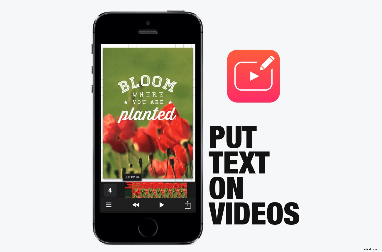 Discover Top Affordable Video Marketing Solutions Without Breaking the Bank