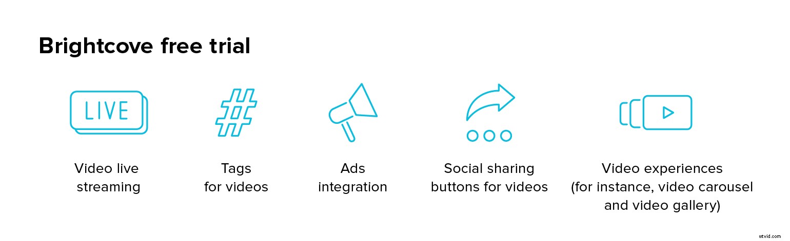 What Is a Video Platform? Why Your Business Needs One for Success