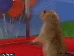 20 Proven Video Marketing Strategies to Skyrocket Your Website Traffic