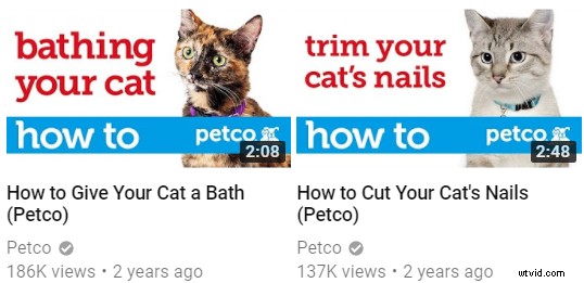 Why Thumbnails Are Crucial for Video Marketing Success