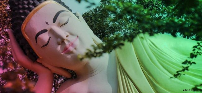 Master Blog Promotion: Expert Strategies Like a Social Media Pro