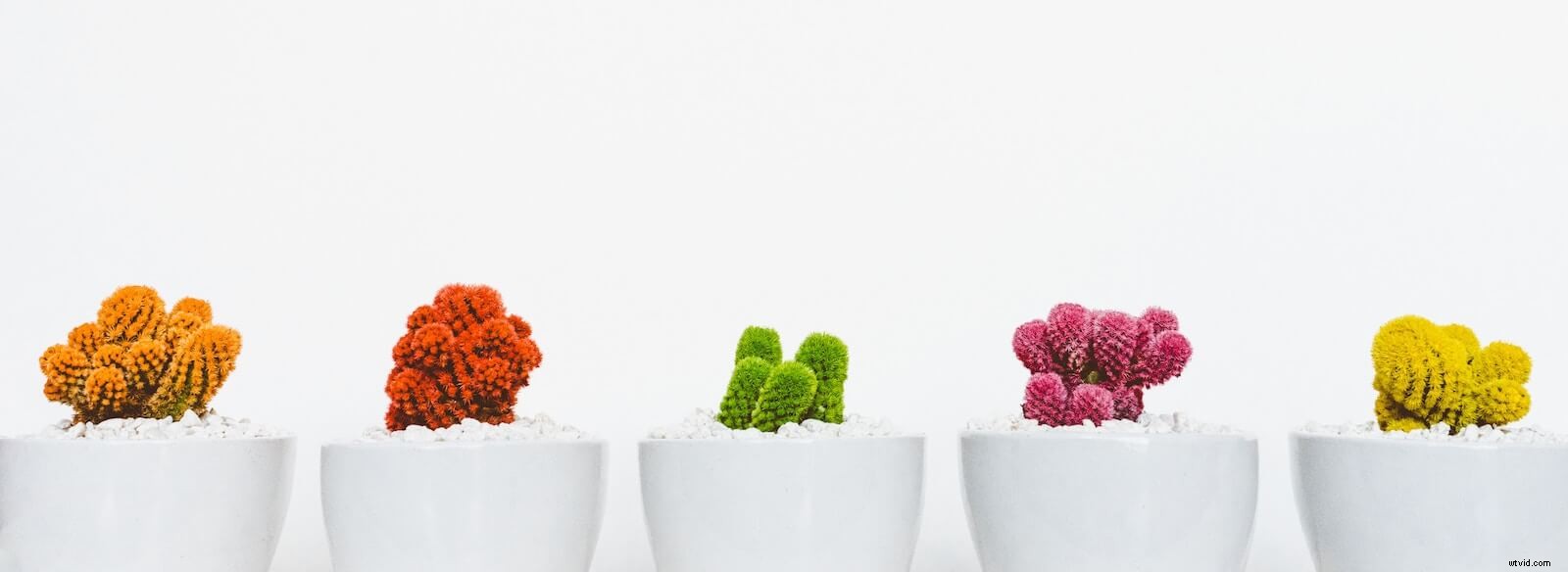 Maximize Conversions: Tailor Video Content to Every Customer Journey Stage