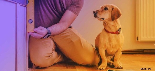 Elevate Your Social Video Strategy: Expert Insights from Donna Moritz