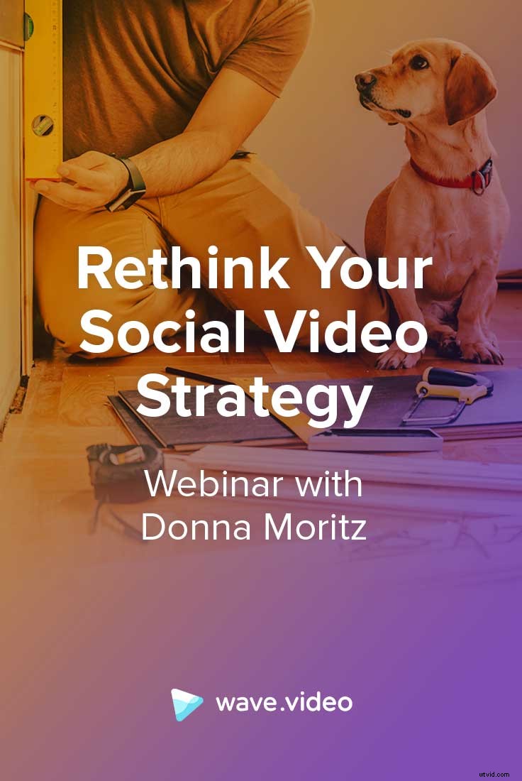 Elevate Your Social Video Strategy: Expert Insights from Donna Moritz