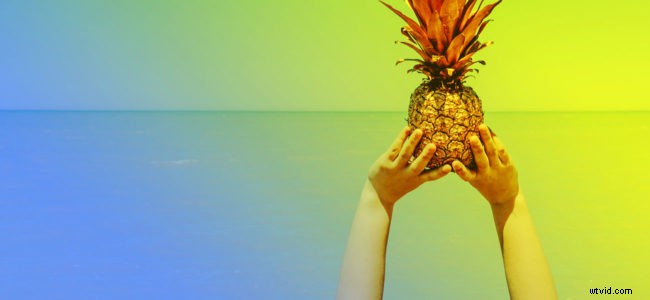 Ultimate Guide: Create High-Converting Product Demo Videos That Drive Sales