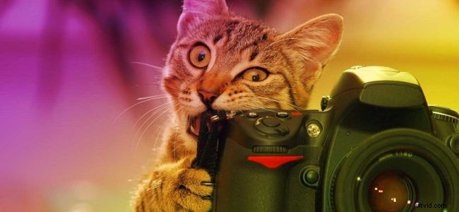 Craft a Standout Video Resume: Expert Tips to Land Your Dream Job