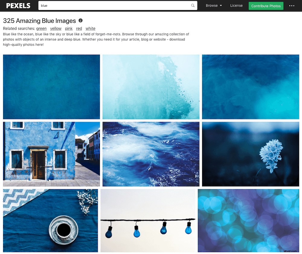 Top 35 Free Stock Photo Websites: High-Quality Royalty-Free Images