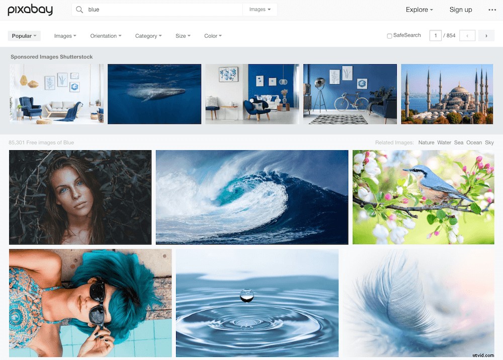 Top 35 Free Stock Photo Websites: High-Quality Royalty-Free Images